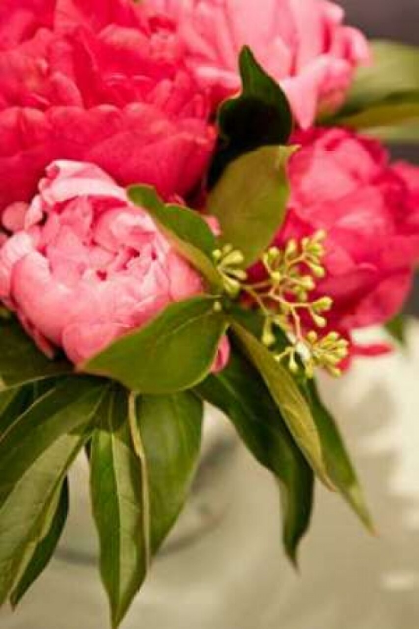 Peonies I Poster Print by Karyn Millet - Item # VARPDXPSMLT238